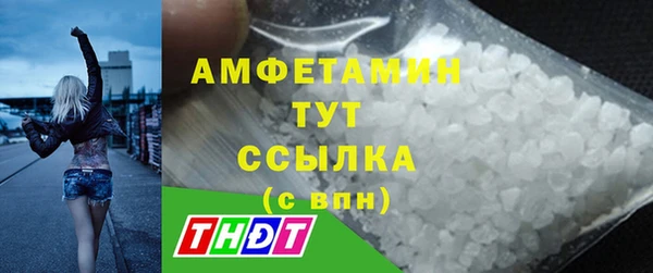 ГАЛЛЮЦИНОГЕННЫЕ ГРИБЫ Щучье