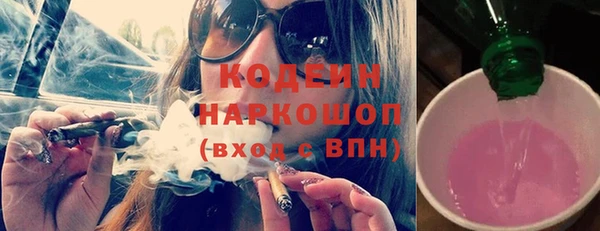 ГАЛЛЮЦИНОГЕННЫЕ ГРИБЫ Щучье