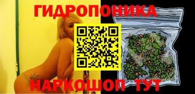 хмурый Гусев