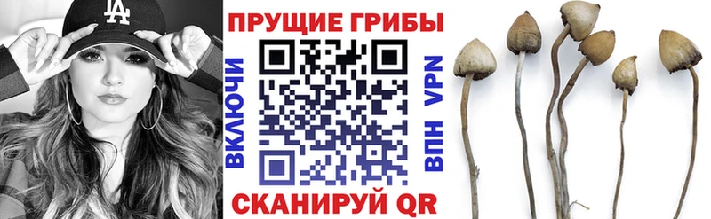 Галлюциногенные грибы Magic Shrooms где купить наркоту Кандалакша