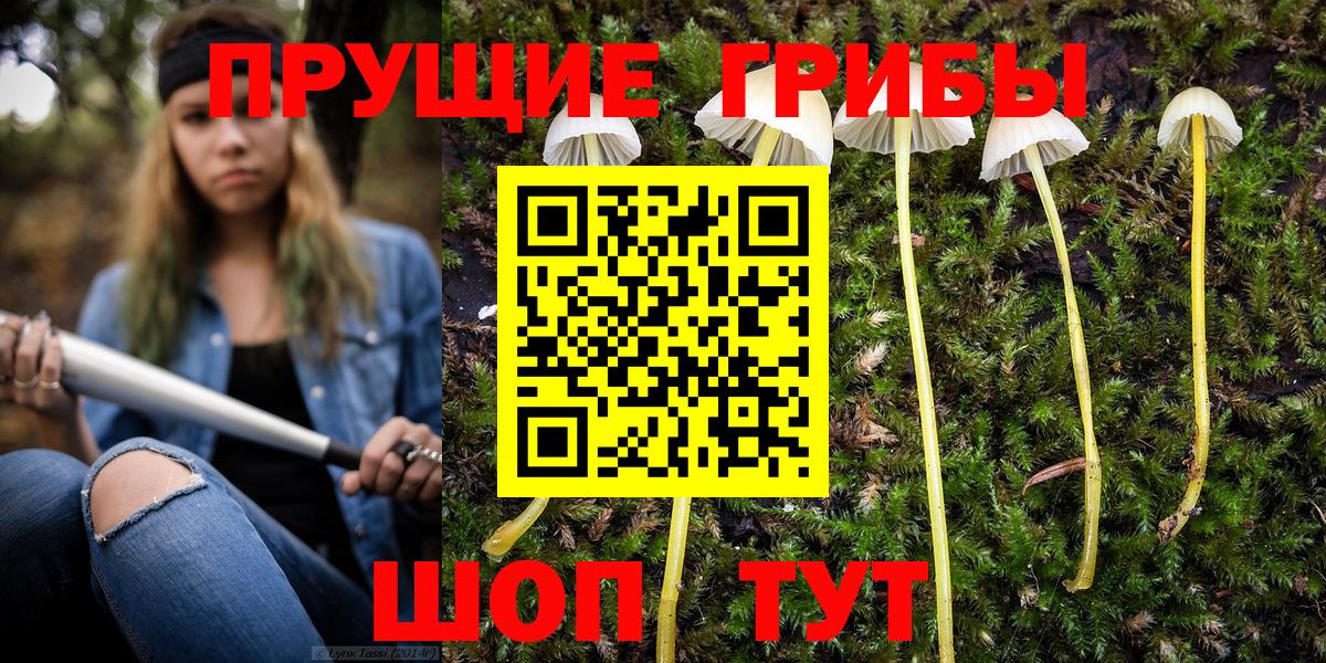 Галлюциногенные грибы Psilocybine cubensis  Вход с VPN  Псилоцибиновые грибы GOLDEN TEACHER  Кандалакша 